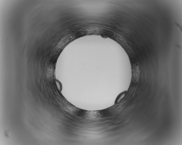 X0000100320333200806261232