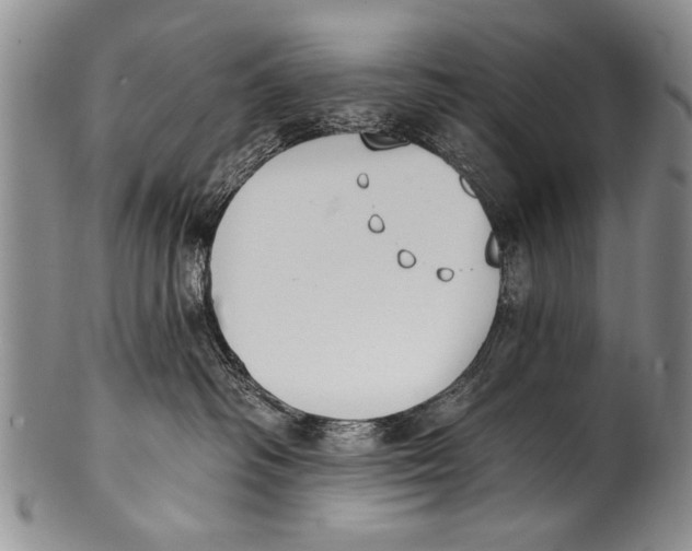 X0000100320334200806261232