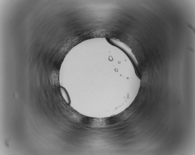 X0000100320335200806261232