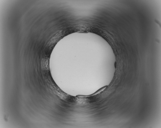 X0000100320336200806261232