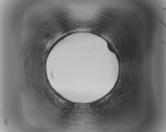 X0000100320337200806261231