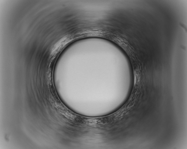 X0000100320339200806261231