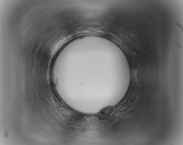 X0000100320340200806261231