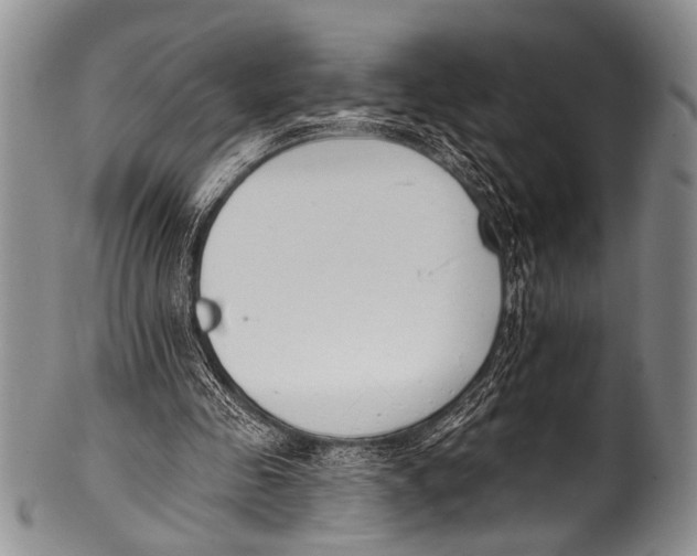 X0000100320341200806261231