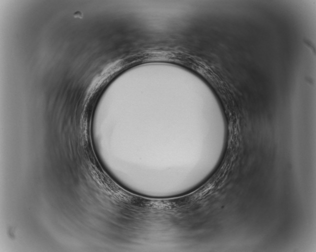 X0000100320343200806261231