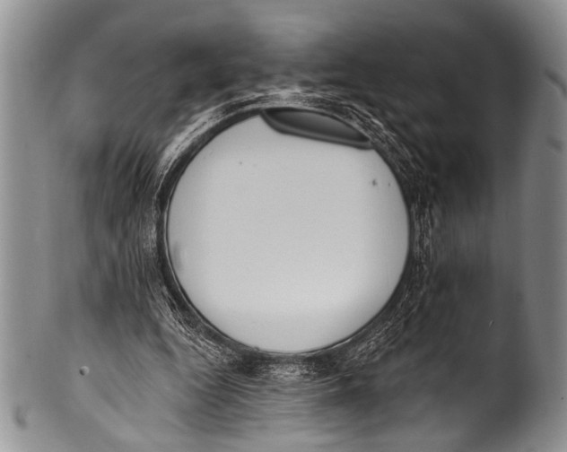 X0000100320344200806261231