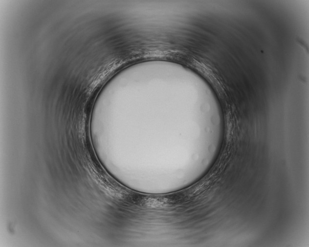 X0000100320346200806261231