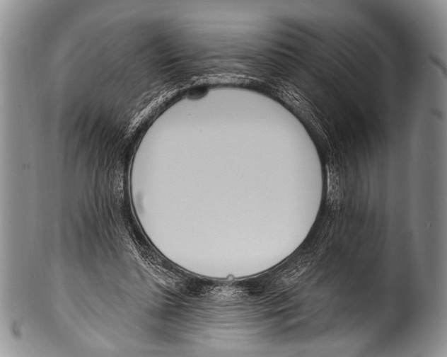 X0000100320348200806261231