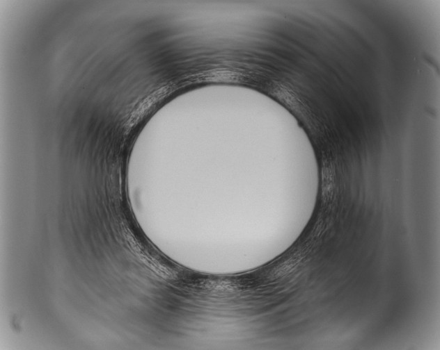 X0000100320349200806261231