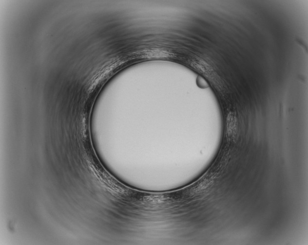 X0000100320351200806261231