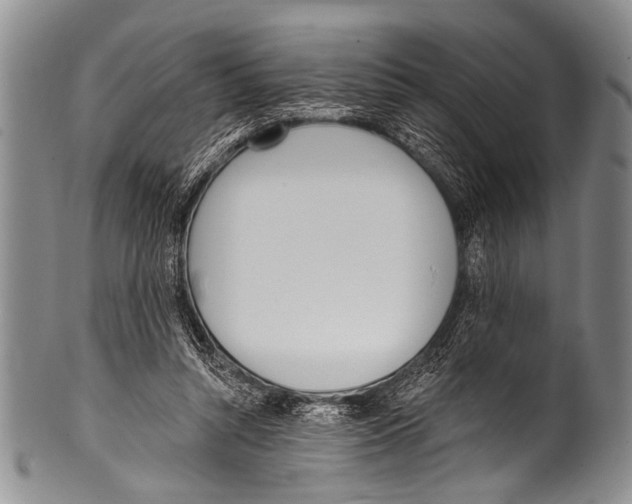 X0000100320352200806261231