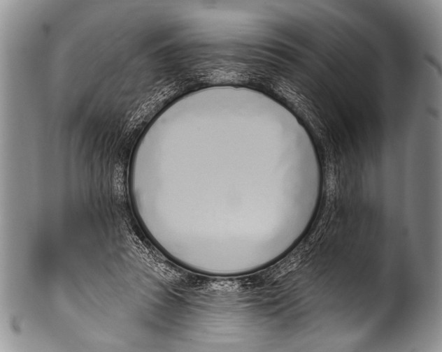 X0000100320353200806261232