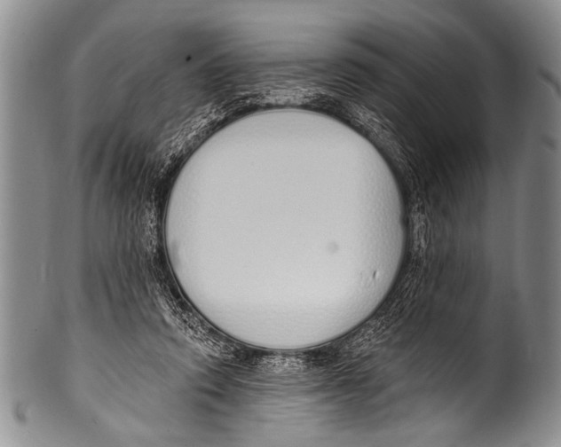 X0000100320354200806261232