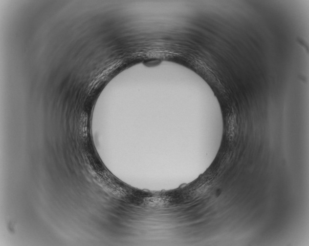 X0000100320356200806261232