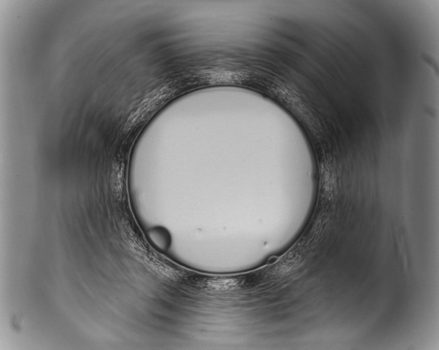 X0000100320357200806261232