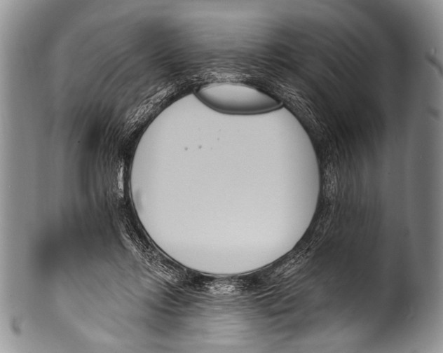 X0000100320358200806261232