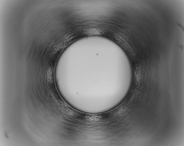 X0000100320359200806261232