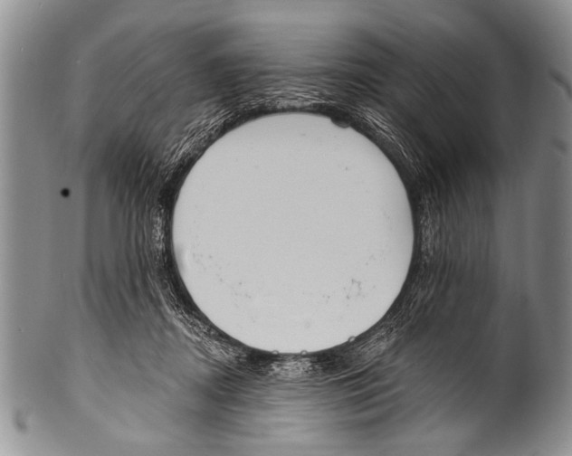 X0000100320362200806261232