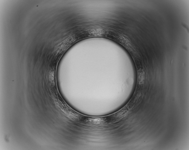 X0000100320365200806261232