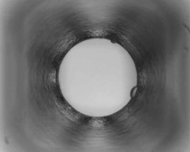 X0000100320368200806261232