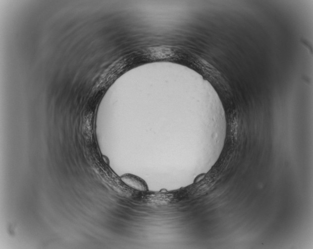 X0000100320373200806261232