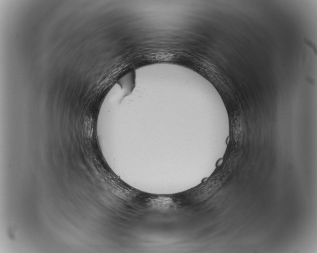 X0000100320374200806261232