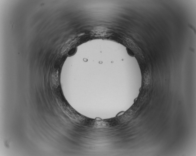 X0000100320376200806261232