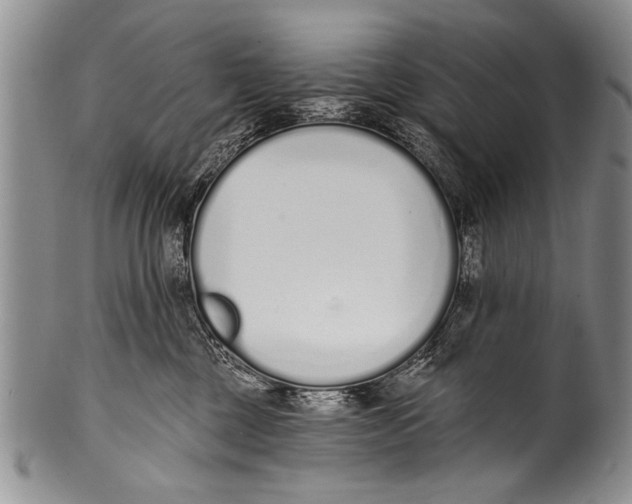 X0000100320377200806261232