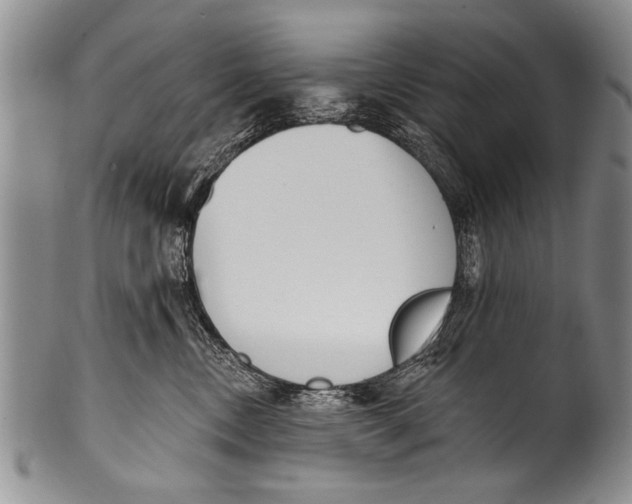 X0000100320378200806261232