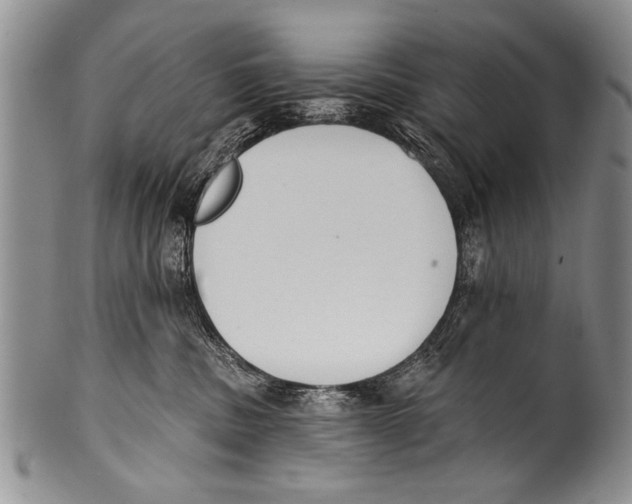 X0000100320379200806261232