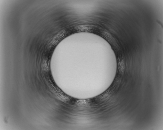 X0000100320381200806261232