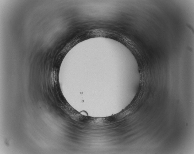 X0000100320382200806261232