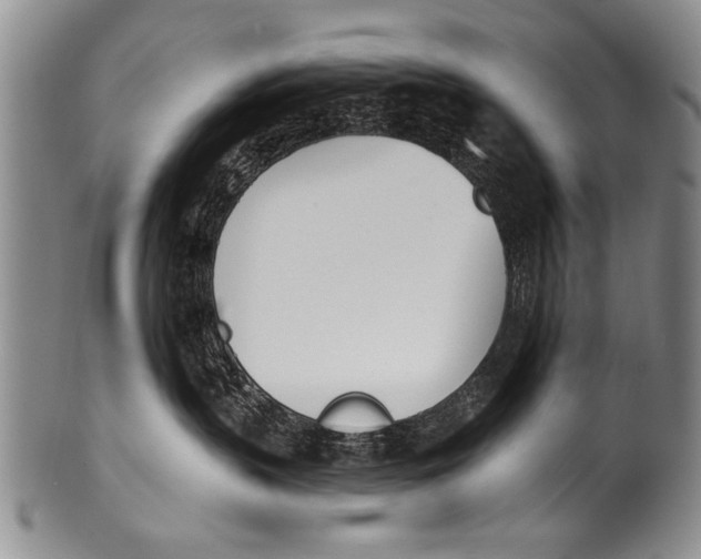 X0000100320383200806261232