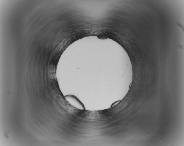 X0000100320384200806261232