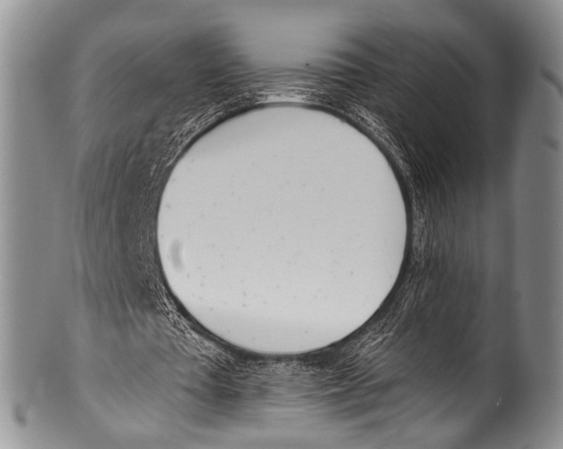 X0000100320385200806261231