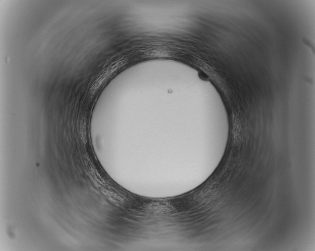 X0000100320386200806261231