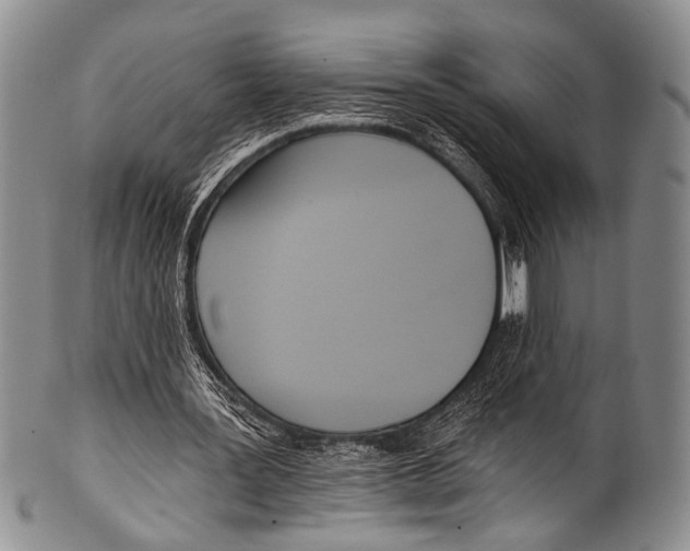 X0000100320387200806261231