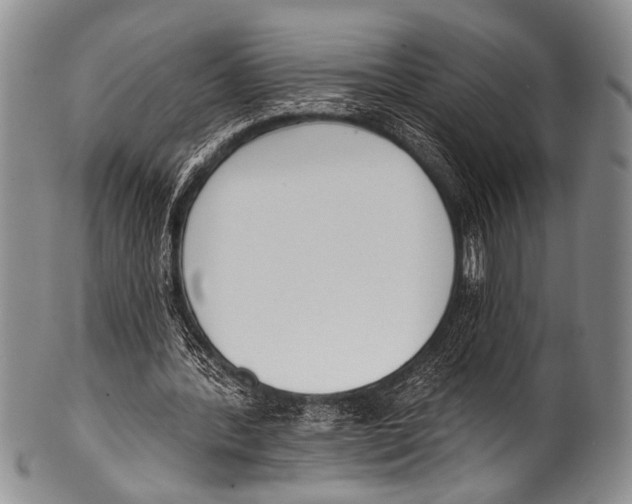 X0000100320388200806261231