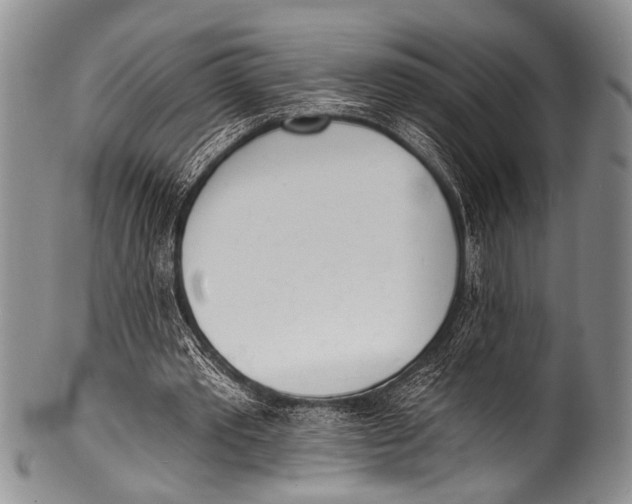 X0000100320389200806261231