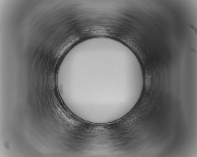 X0000100320390200806261231