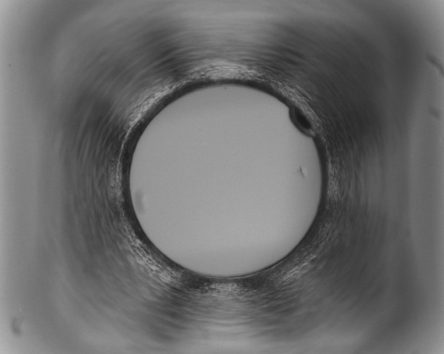 X0000100320391200806261231