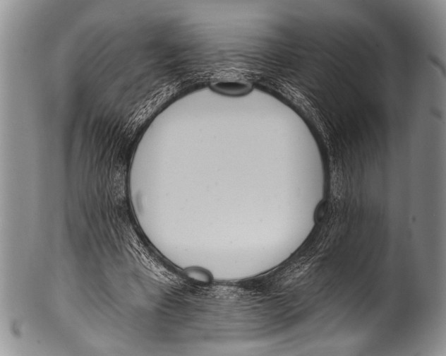 X0000100320393200806261231