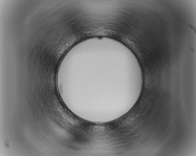 X0000100320394200806261231