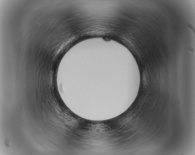 X0000100320396200806261231