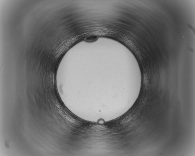 X0000100320397200806261231