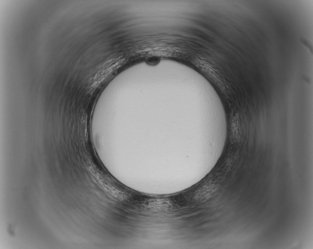 X0000100320398200806261231