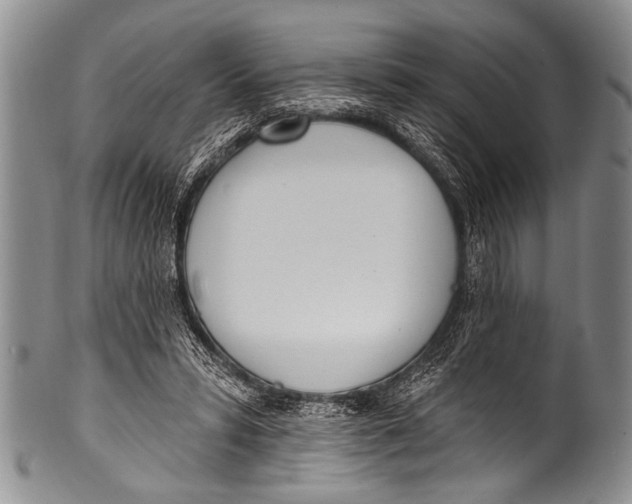 X0000100320399200806261231