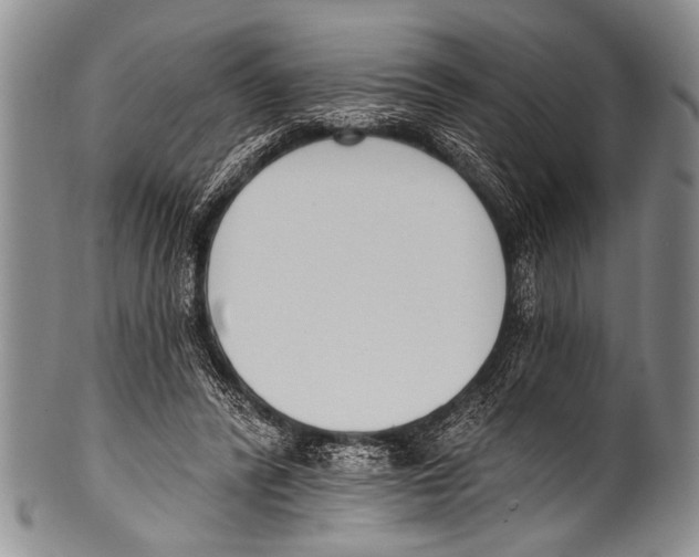 X0000100320400200806261231