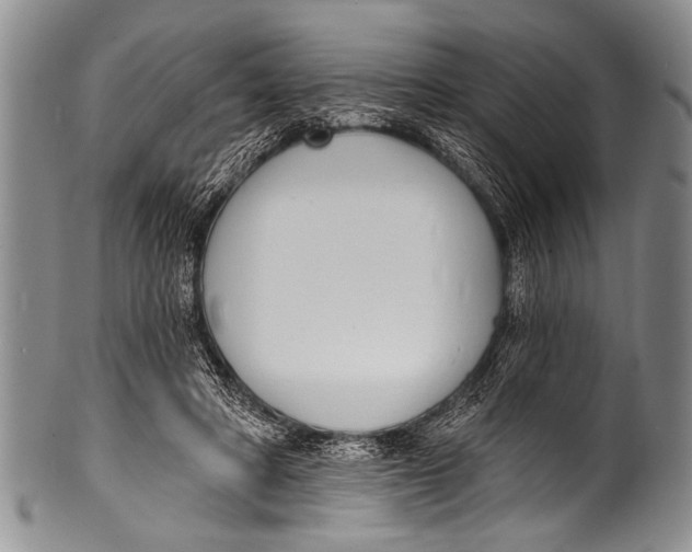 X0000100320402200806261231