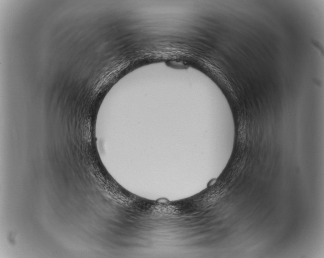 X0000100320403200806261231